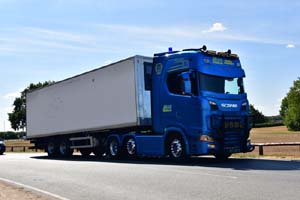 26cv0081