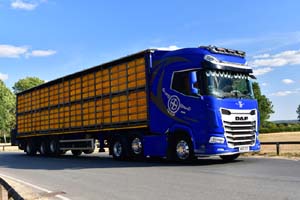 26cv0747