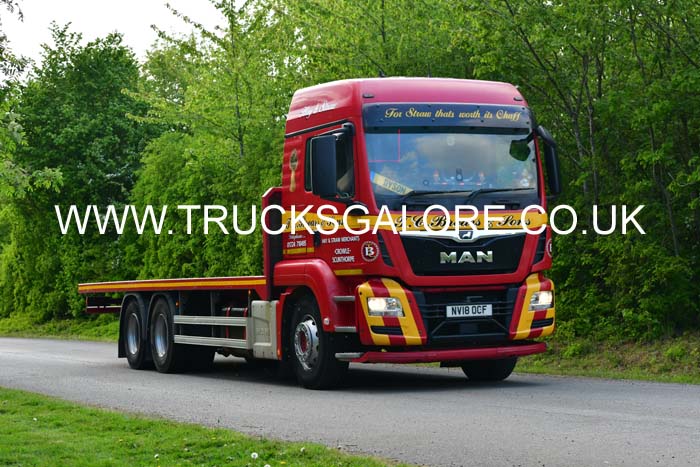BREARS NV18 OCF 26Lc1366