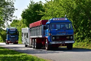 GRATTON BNG 898T 26Lc1080