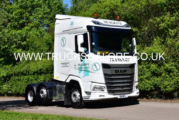 MUSGRAVE D6 MTL 26Lc0356