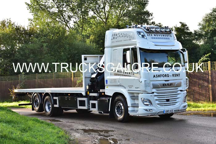 ACE GB19 ACE 19kt0302