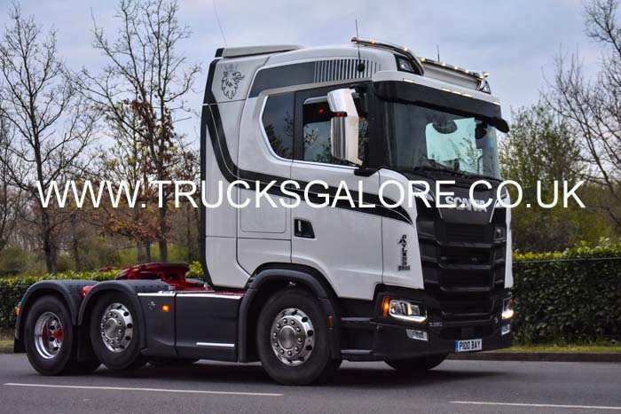BAYLISS P100 BAY 19su0086