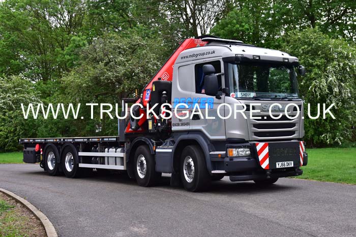 BECKER YJ66 DKY 19pb0092