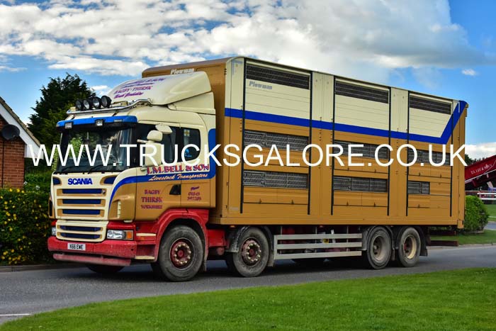 BELL K66 EWE 19tk0259