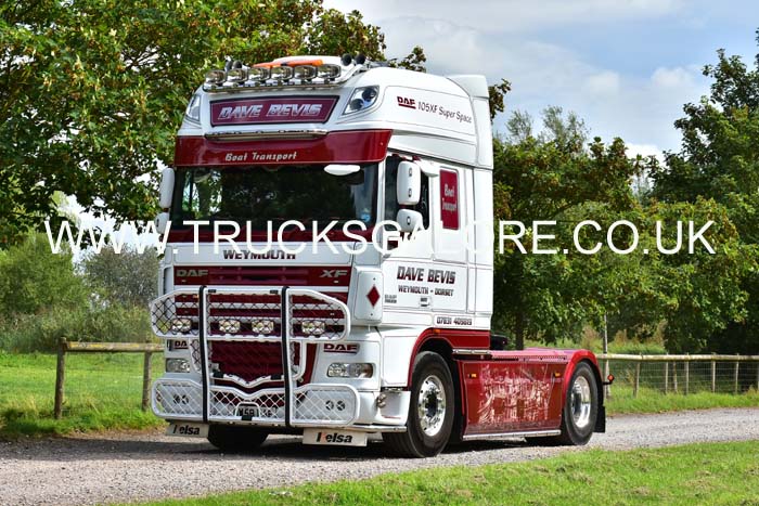 BEVIS 19sm0067