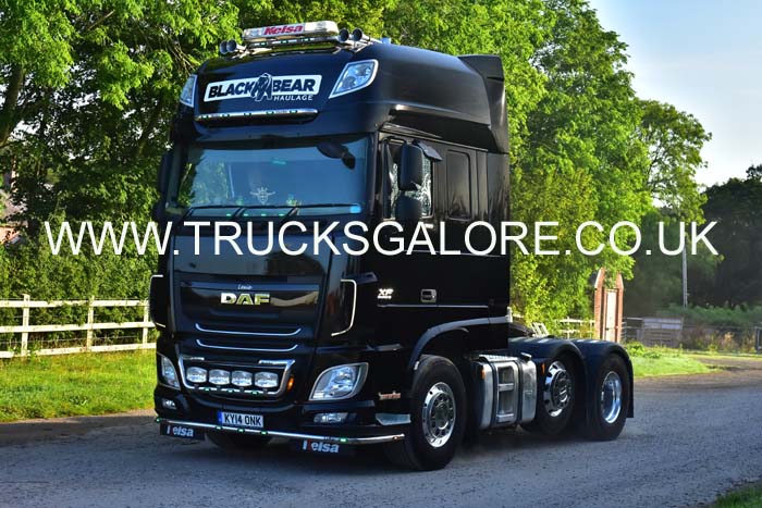 BLACK BEAR KY14 ONK 19ch0420