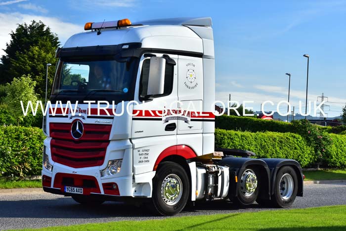 BROWN YC65 AXD 19tk0565