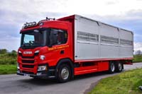 BAKER MB14 COW 19dv0262