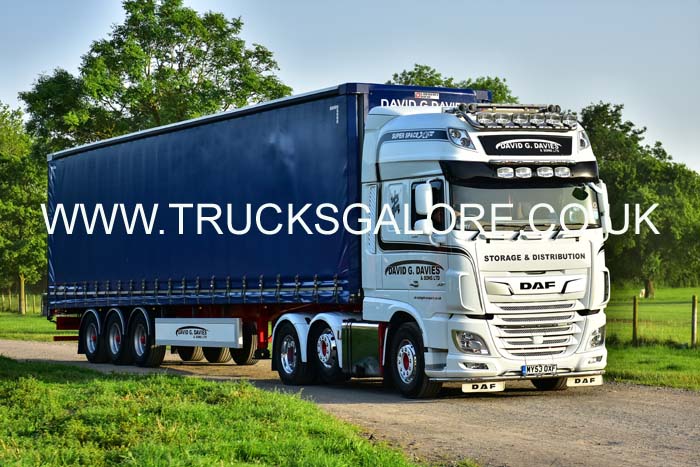 DAVIES MY53 OXF 19mv0482