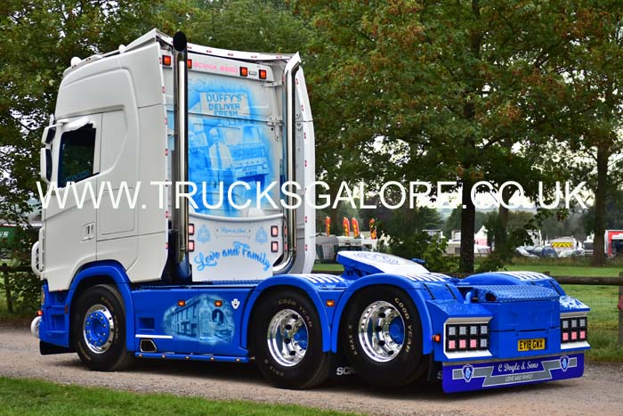 DOYLE EY18 GWX 19sm0601