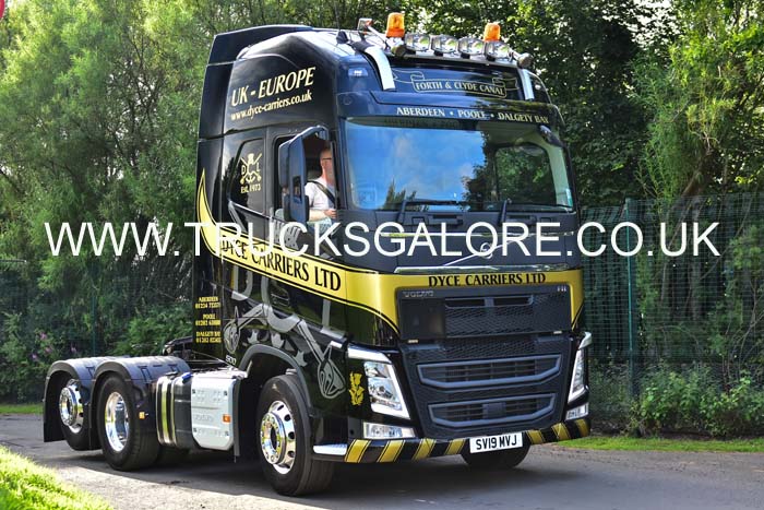 DYCE SV19 MVJ 19ed0981