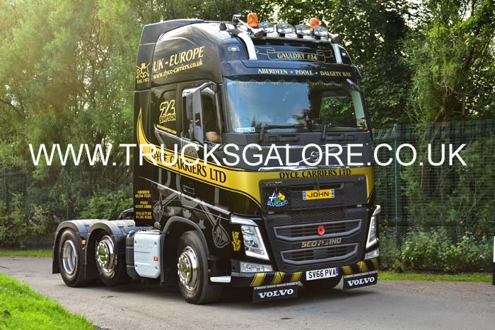 DYCE SV66 PVA 19ed1104