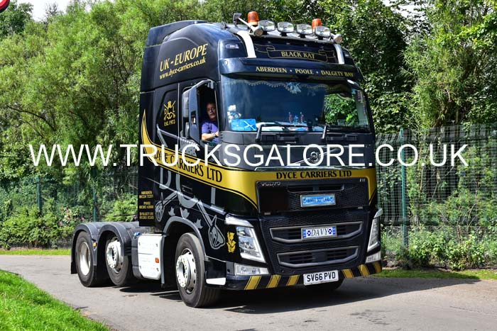 DYCE SV66 PVD 19ed0348