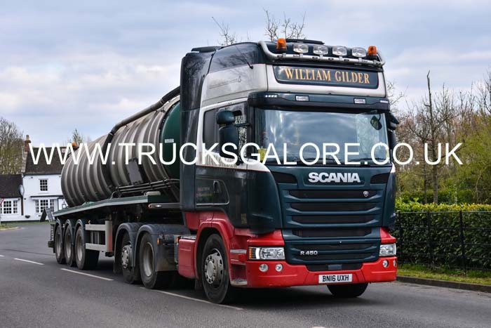 GILDER BN16 UXH 19su0030