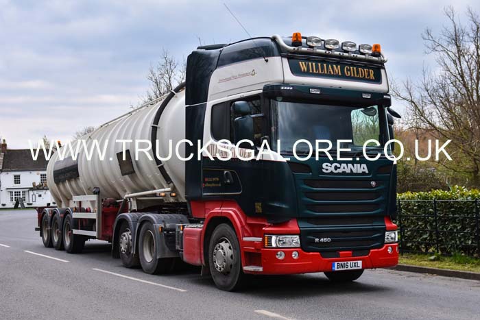 GILDER BN16 UXL 19su0038