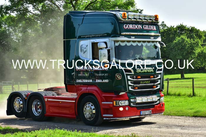 GILDER GG07 COW 19mv0201