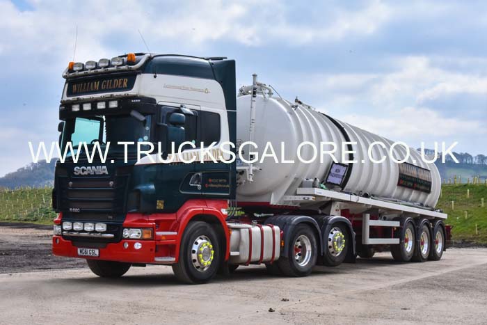 GILDER MG61 GSL 19su0002