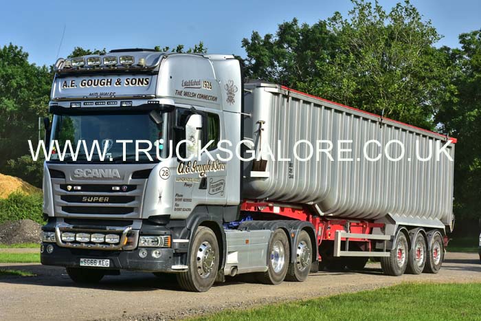 GOUGH SG66 AEG 19mv0297