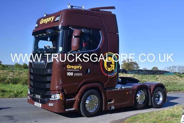 GREGORY Y100 GDL 19dv0518
