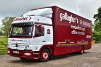 GALLAGHERS J900 GON 19ws0236
