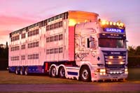 GARROD P19 AWO 19sw0113