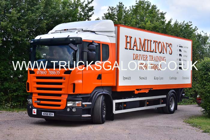 HAMILTONS AO58 BDV 19sh0086