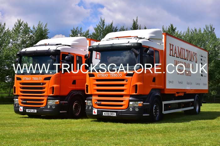 HAMILTONS AO58 BDV 19sh0087