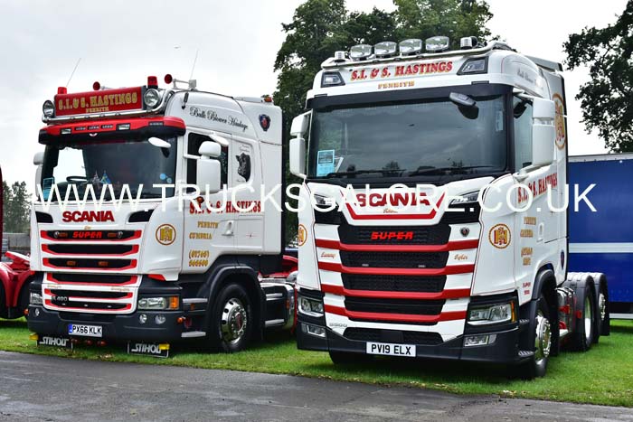 HASTINGS PV19 ELX 19ed1428
