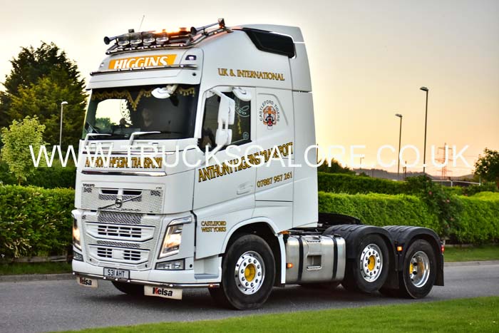 HIGGINS S31 AHT 19tk0507
