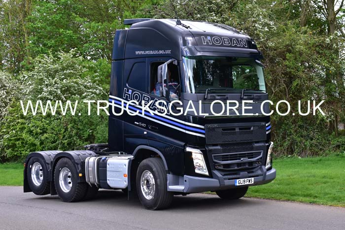HOBAN GL19 FWS 19pb2213
