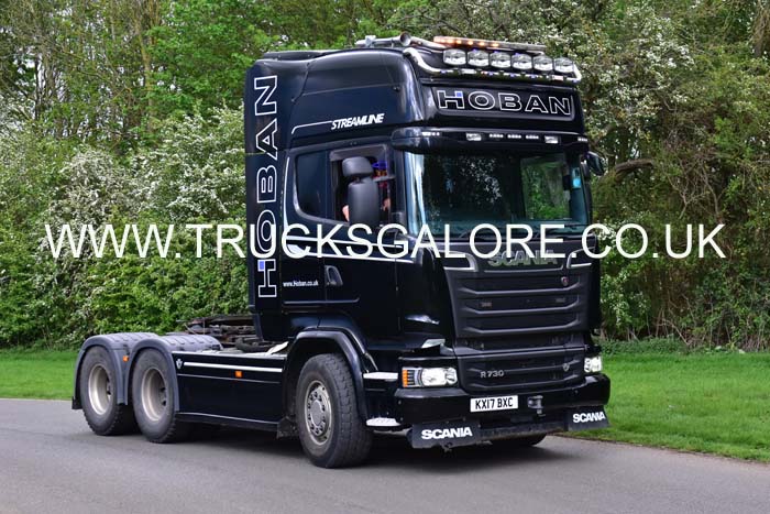 HOBAN KX17 BXC 19pb2216