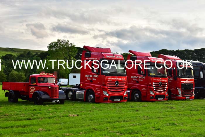HOGG FLEET 19ws0174