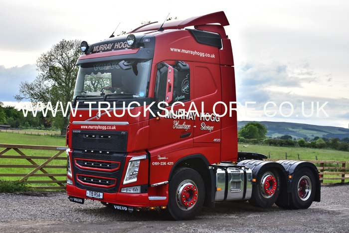 HOGG T19 RSA 19ws0130