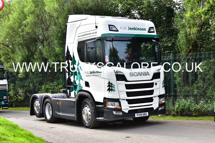 JENKINSON PV19 KRG 19ed0847