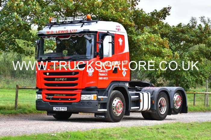 LEWIS CN66 PYO 19sm0083