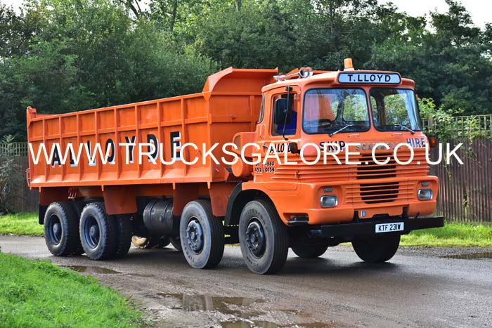 LLOYD KTF 231W 19kt0310
