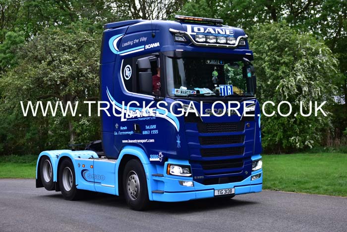 LOANE TIG 3138 19pb0812
