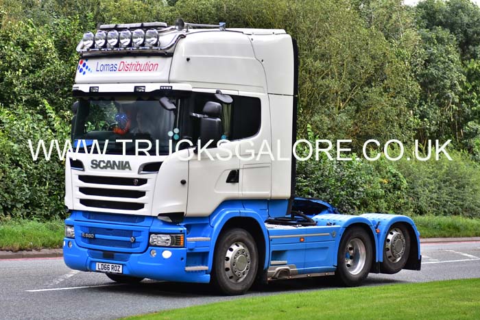 LOMAS LD66 ROZ 19cv0256