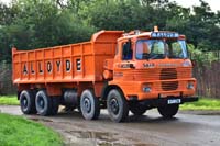 LLOYD KTF 231W 19kt0310