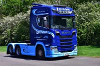 LOANE TIG 3139 19pb2059