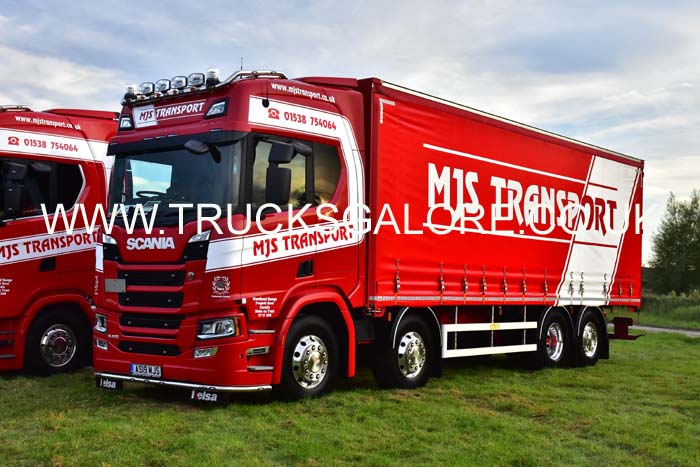 MJS AS19 MJS 19ch0448