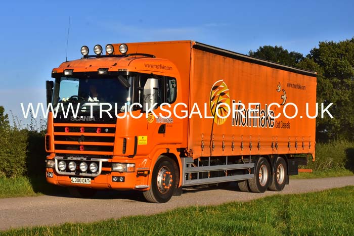 MORNFLAKE L300 OAT 19ch0176