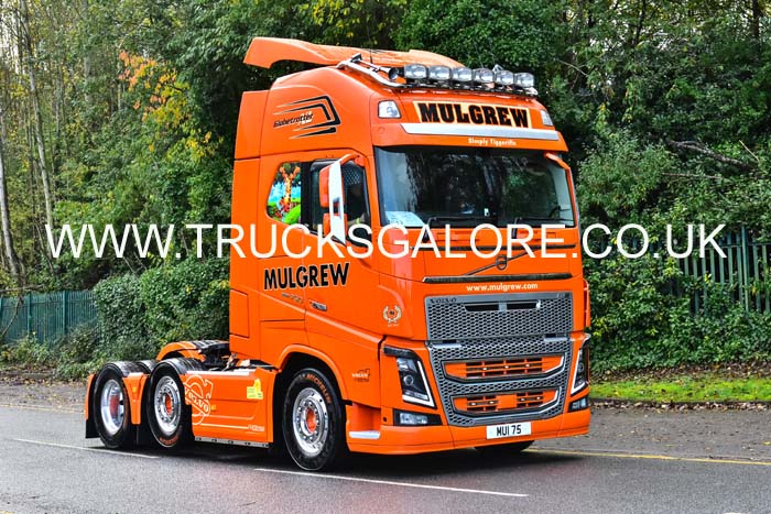 MULGREW MUI 75 19tf0003