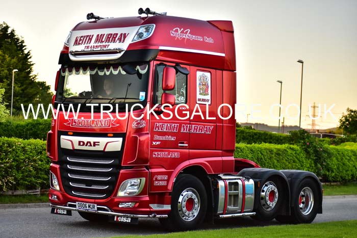 MURRAY OO06 MUR 19tk0500