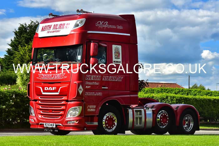 MURRAY RC55 MUR 19tk0166