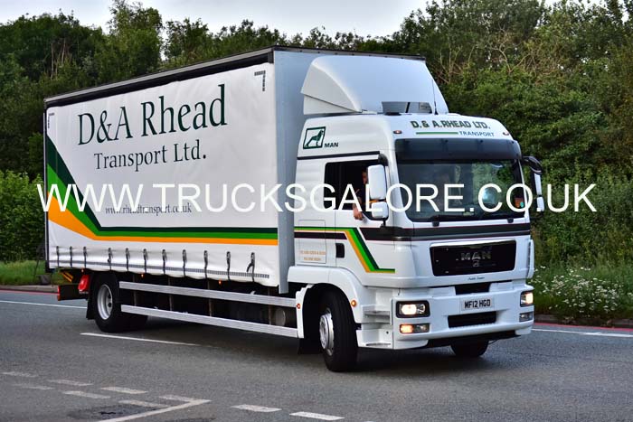 RHEAD MF12 HGD 19cv0486