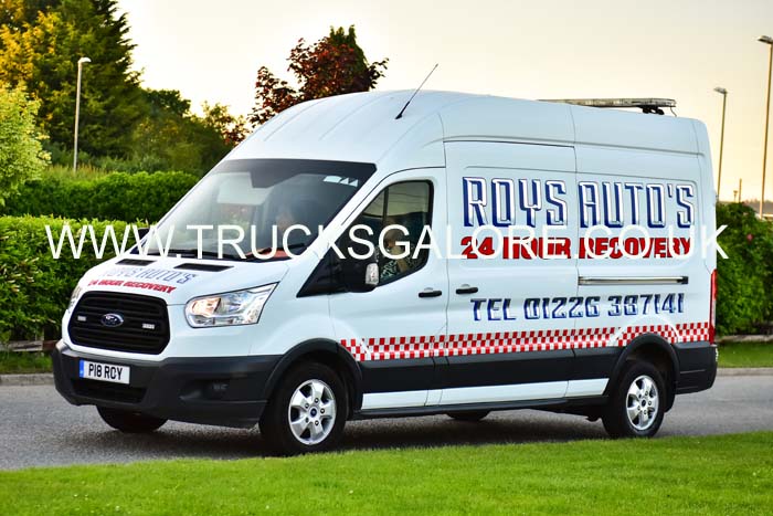 ROYS P18 ROY 19tk0486