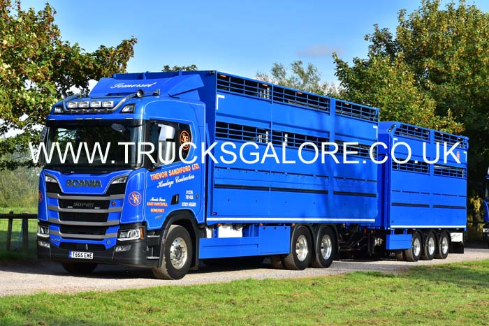 SANDIFORD T555 EWE 19sm0246