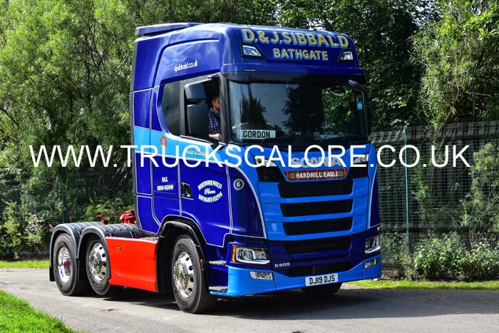 SIBBALD DJ19 DJS 19ed0652